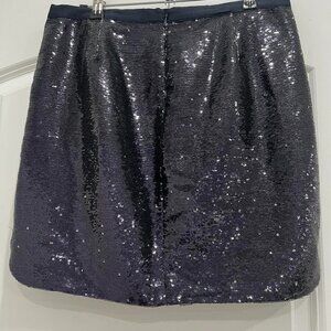 J.Crew NAVY sequin mini skirt SIZE 2